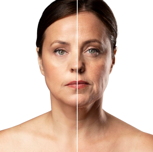 Anti-Aging